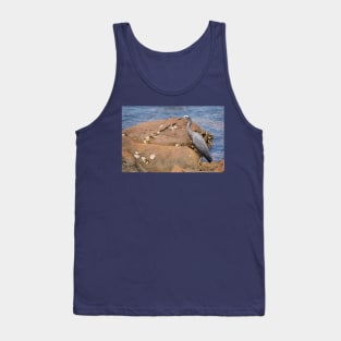 heron at the beach Tank Top